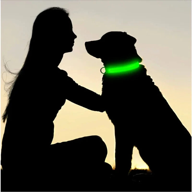 LumiGlow LED Leuchthalsband für Hunde