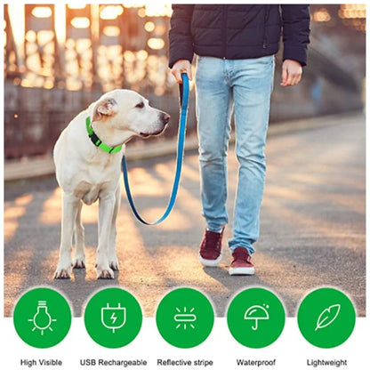 LumiGlow LED Leuchthalsband für Hunde