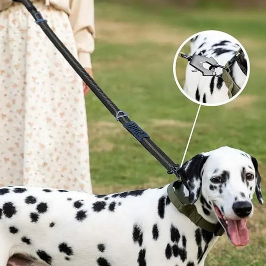 Reflektierende Bungee-Hundeleine aus Nylon – Für große Hunde, Schwarz