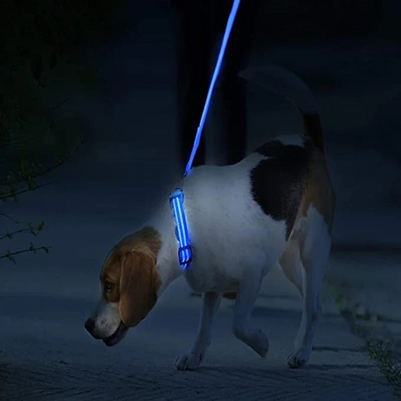LumiGlow LED Leuchthalsband für Hunde