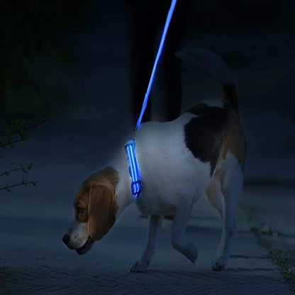 LumiGlow LED Leuchthalsband für Hunde