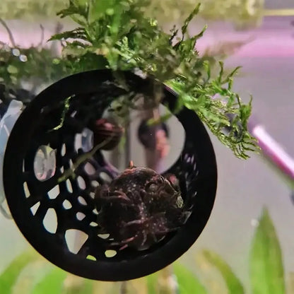 AquaHaven Schwarze Aquarium-Versteckröhre mit Saugnapf