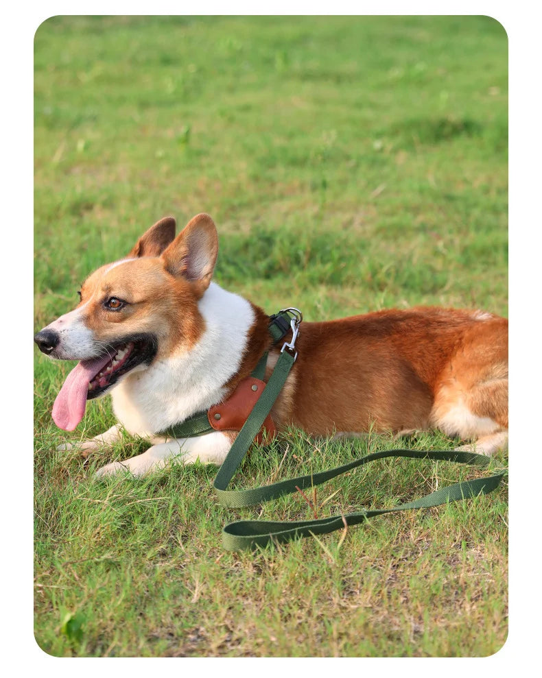 PawCommand Premium Outdoor Geschirr-Set