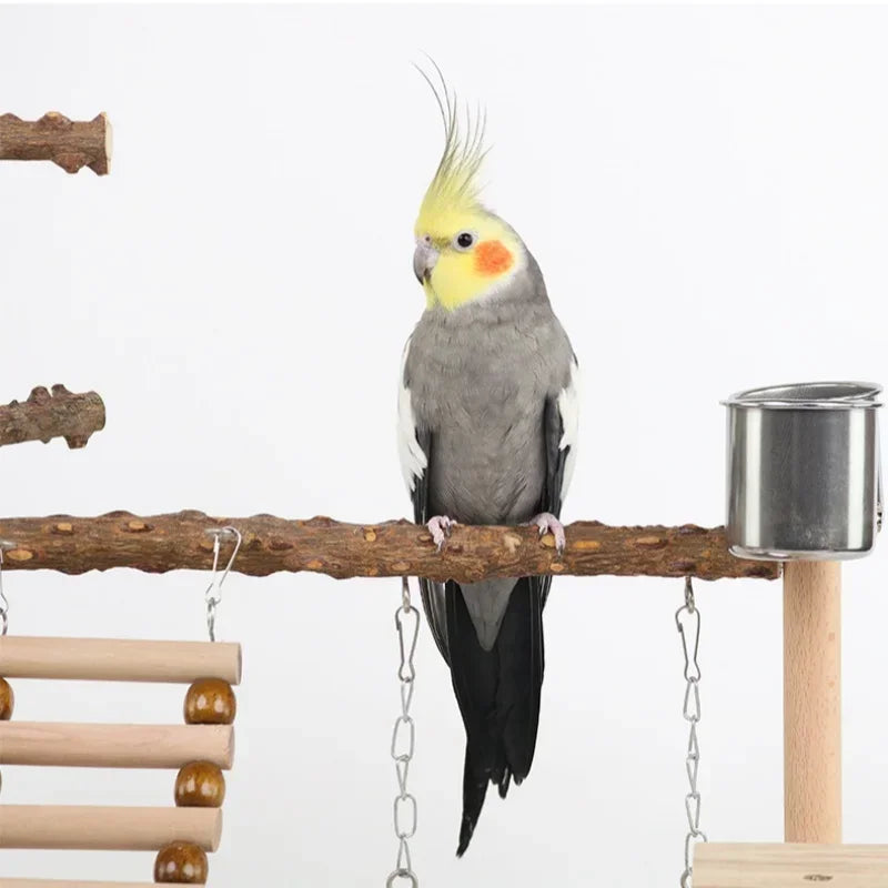 Papageien-Kletterstation Pepperwood – Hängebrücke & Schaukel-Spielset