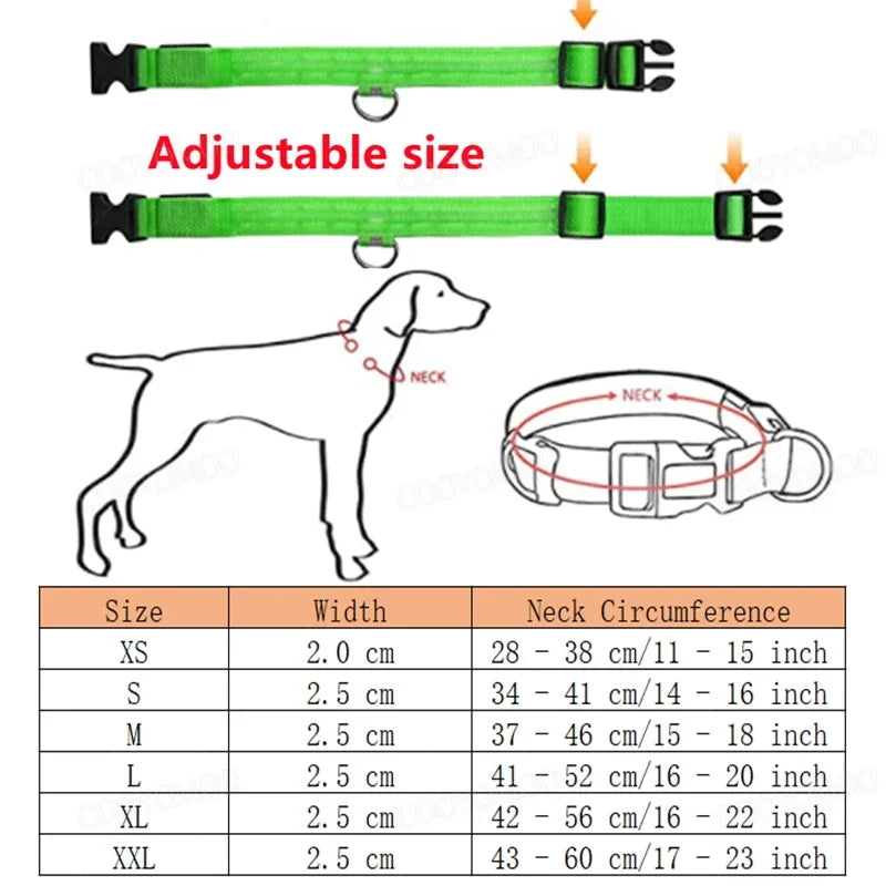 LumiGlow LED Leuchthalsband für Hunde