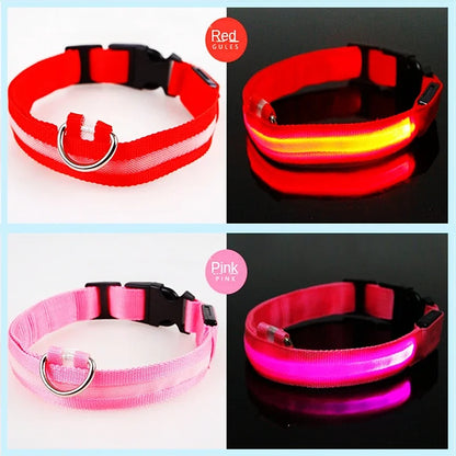 LumiGlow LED Leuchthalsband für Hunde