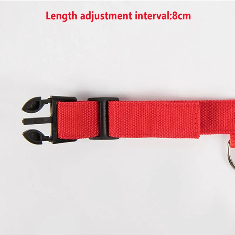 LumiGlow LED Leuchthalsband für Hunde