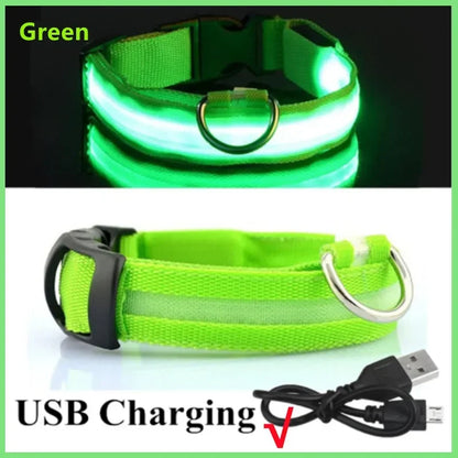 LumiGlow LED Leuchthalsband für Hunde