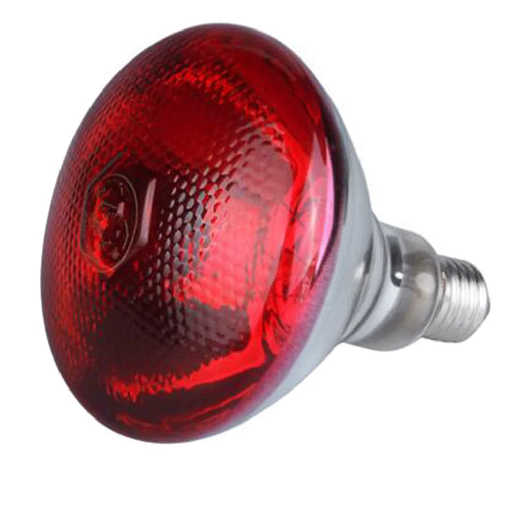 Wärmelampe für Reptilien