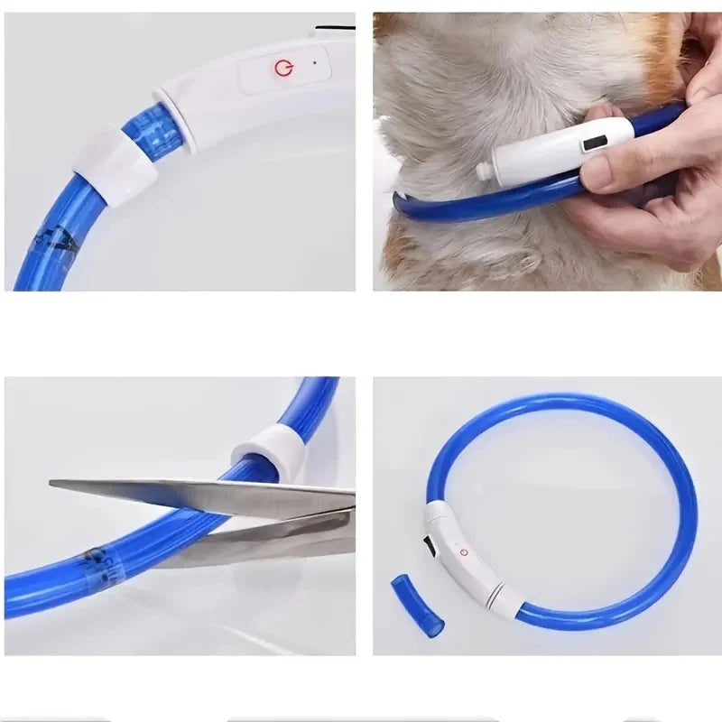 GlowGuard LED-Sicherheitshalsband für Hunde – USB-aufladbar & reflektierend
