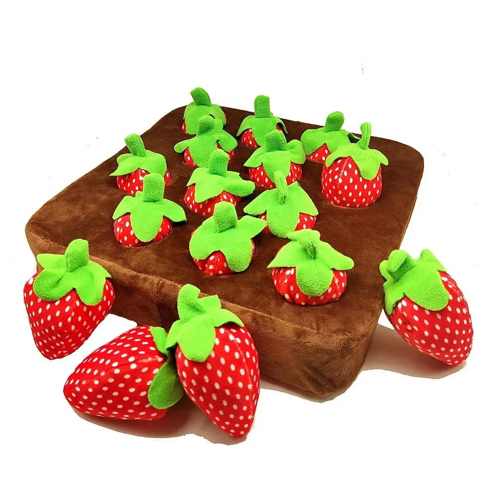 Karotten-Schnüffelmatte für Hunde – Interaktive Spielmatte mit 12 versteckten Karotten