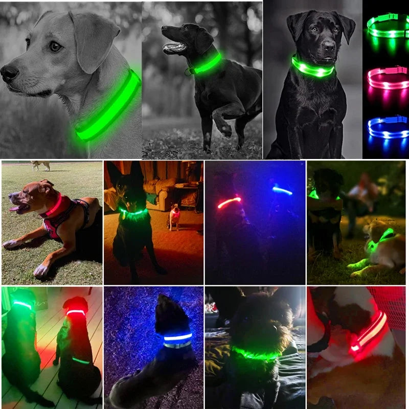 LumiGlow LED Leuchthalsband für Hunde