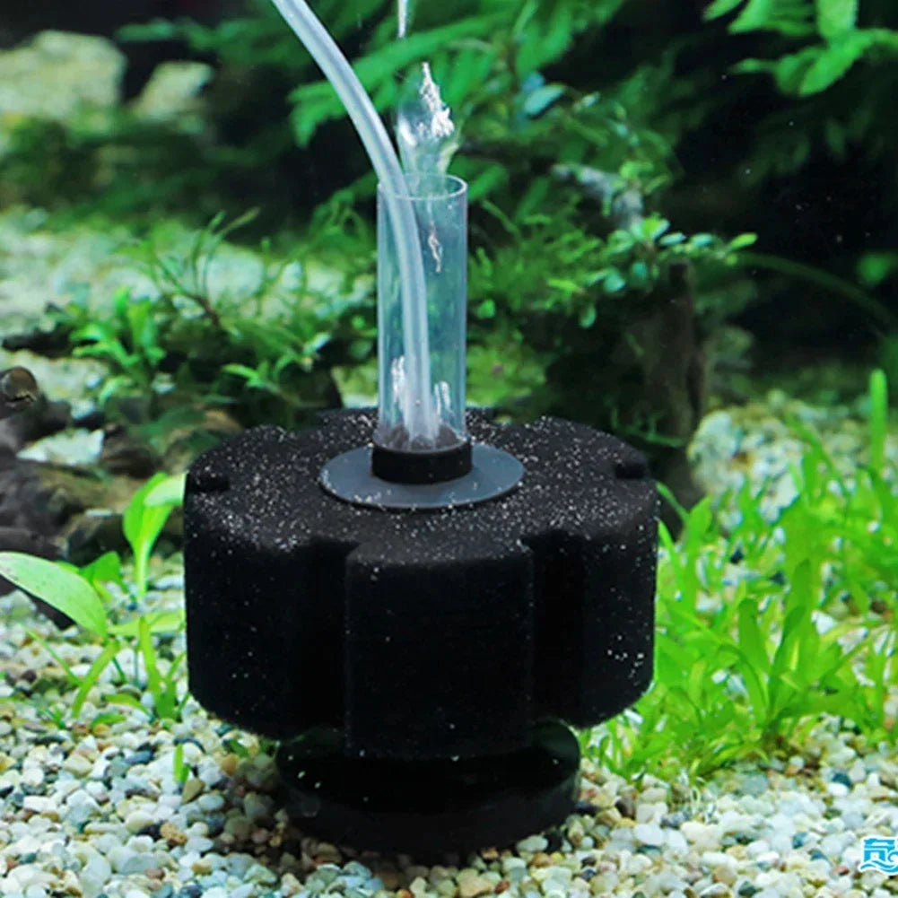AquaPure Biochemischer Schwammfilter für Aquarium | Luftpumpe, Skimmer und Biofilter Zubehör