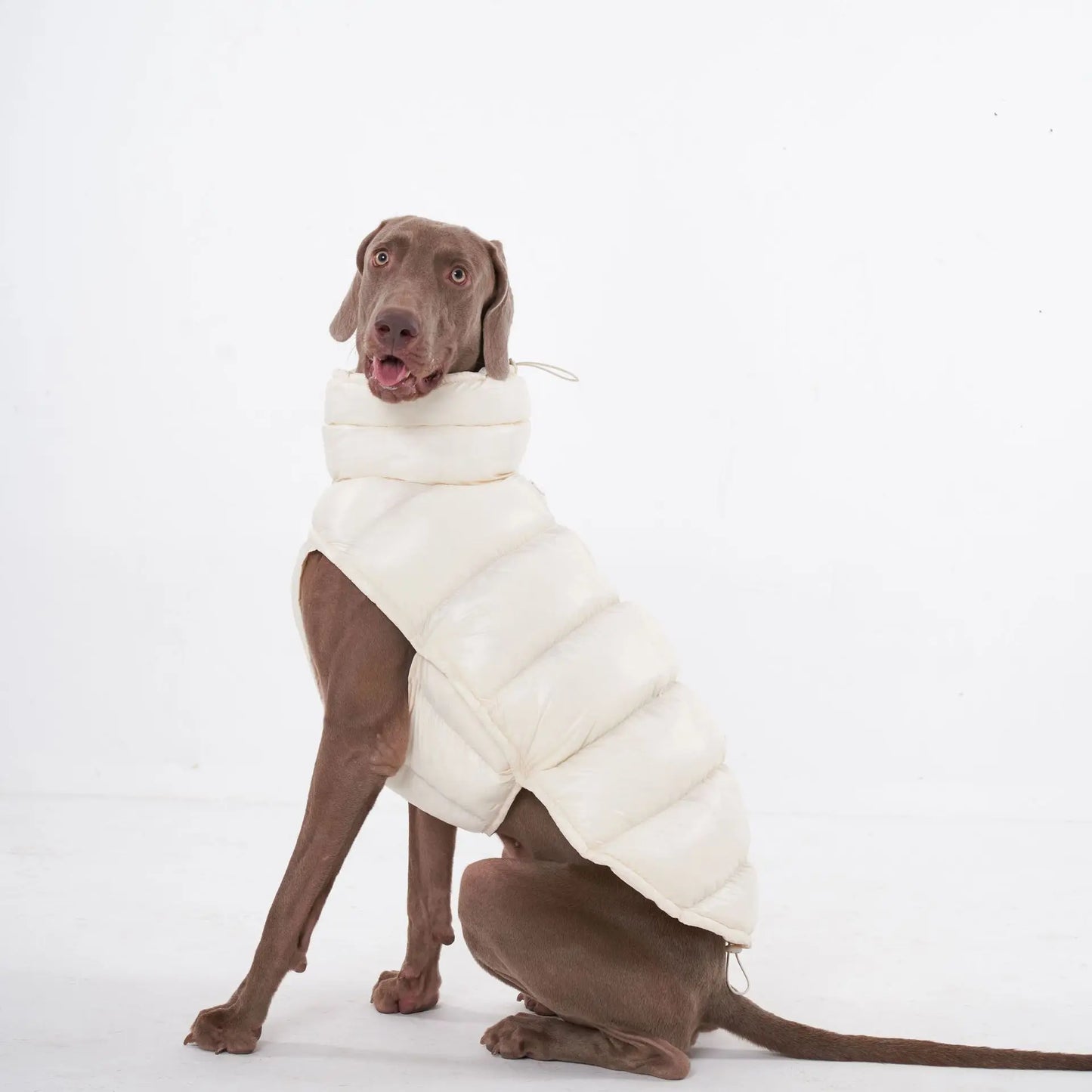 Premium Winter Winddichte Hundejacke