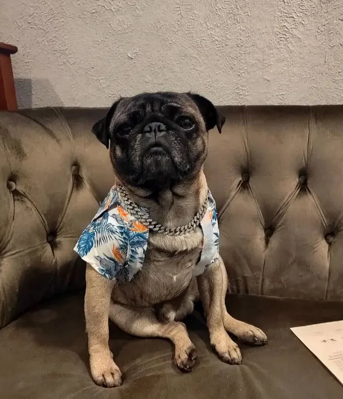 GlamPaw Diamant-Kubanische Gliederkette