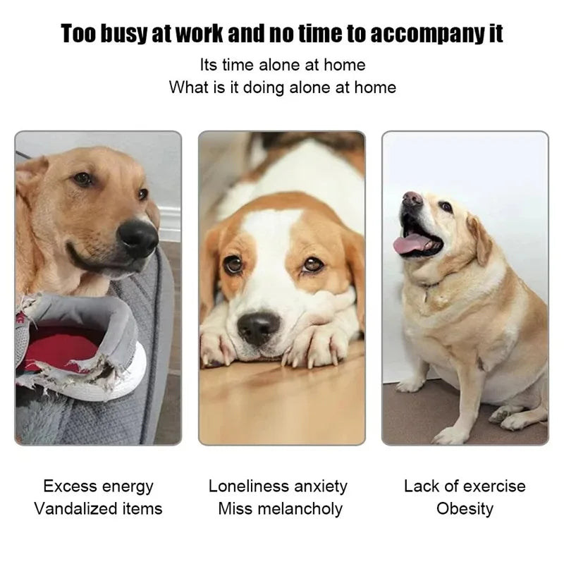 Automatischer Ballwerfer für Hunde – 6 Bälle, USB-aufladbar, 5 cm