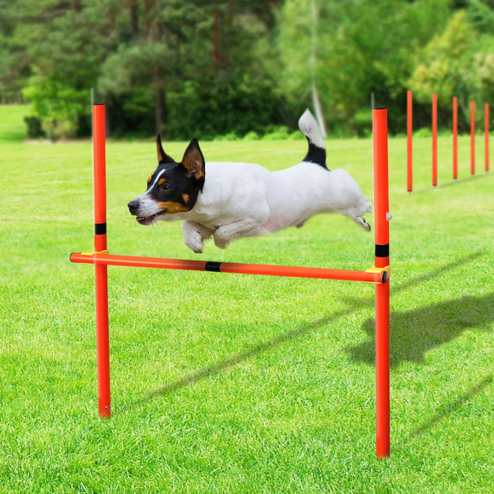 AgiliPro Hundesport-Trainingsset