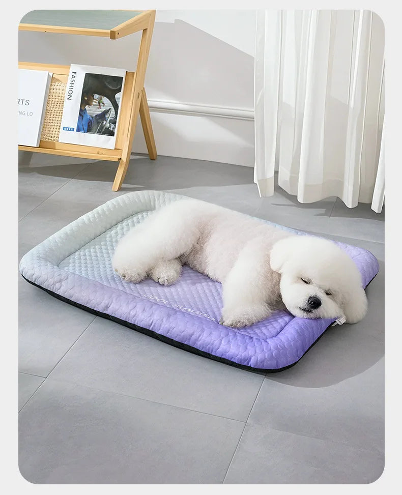 COOL PAWS – Kühlende Haustiermatratze für Hunde und Katzen