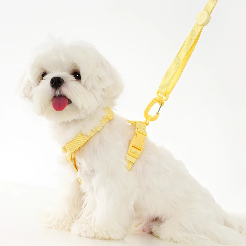 MacaroneWalk – Verstellbares Hundegeschirr-Set mit Halsband und Leine