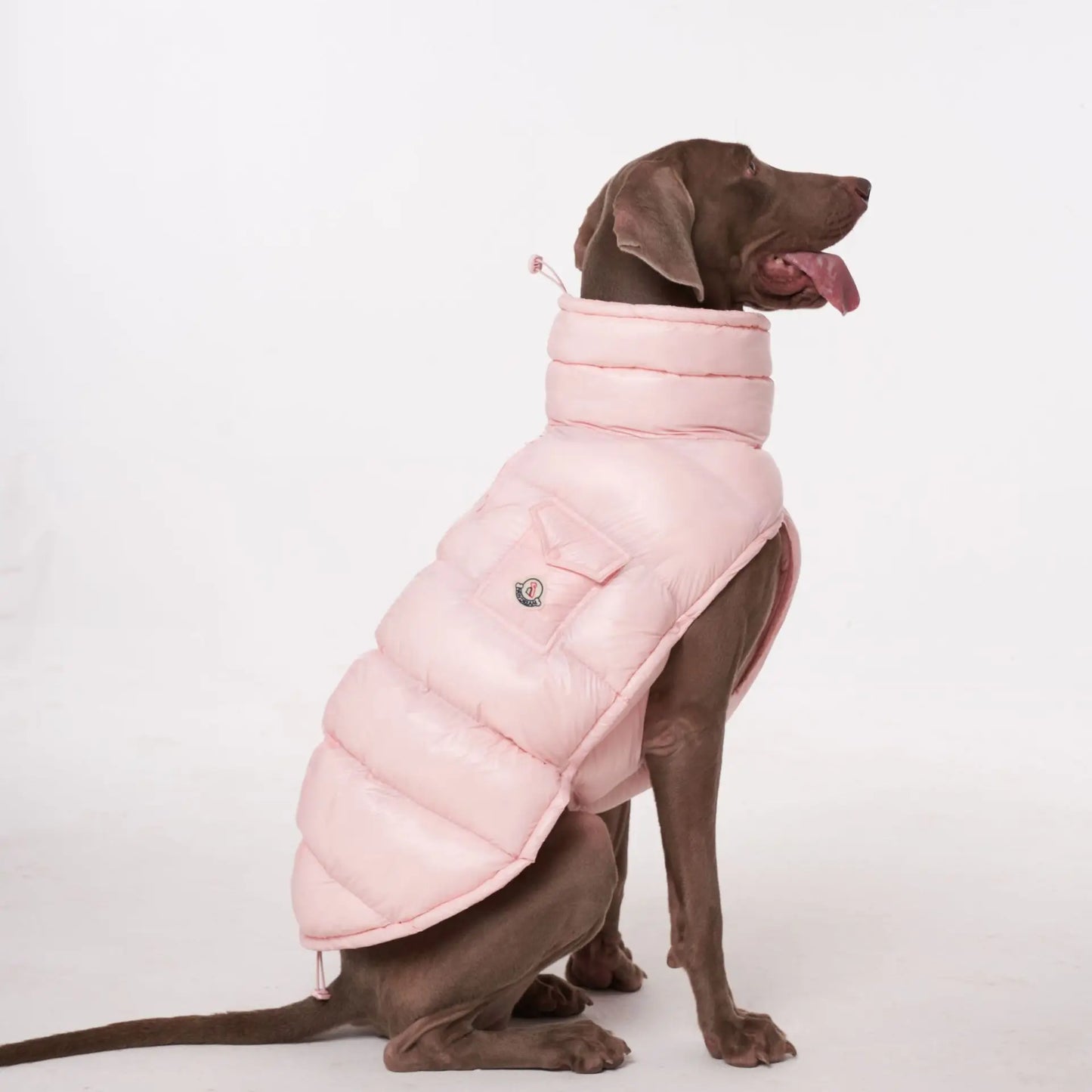 Premium Winter Winddichte Hundejacke