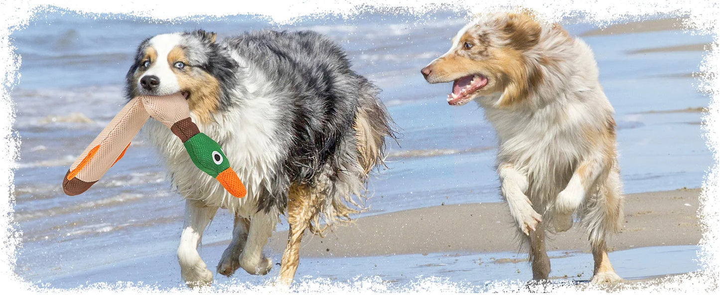 ZiziFloat Hunde-Wasserspielzeug