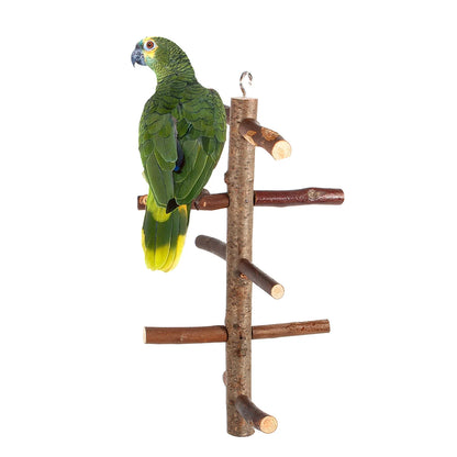 Papageiensitz aus Holz – Natürlicher Vogel mit Ästen