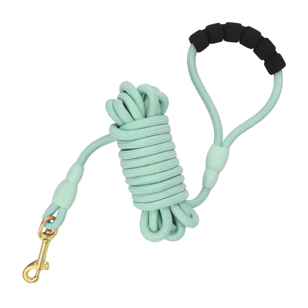 Lange Hundeleine 5 m/10 m, Polyester – Schaumstoffgriff, mehrfarbig