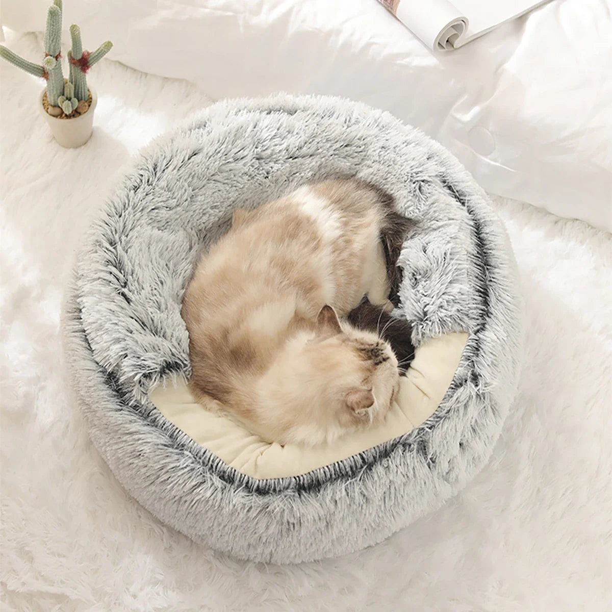 Flauschiges Donut-Katzenbett mit Mütze – weich und warm für kleine Haustiere