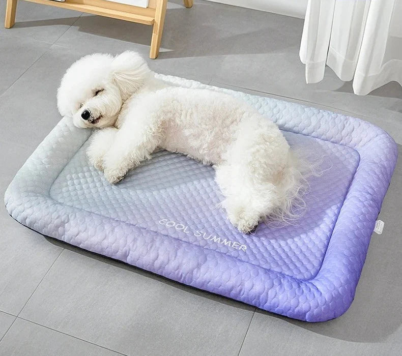 COOL PAWS – Kühlende Haustiermatratze für Hunde und Katzen