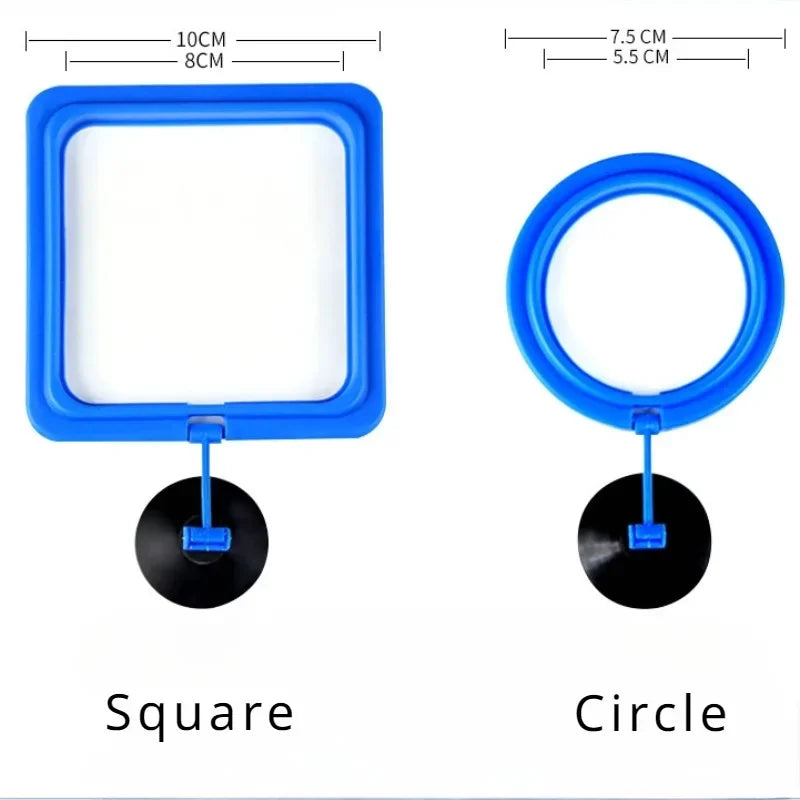 AquaRing Futterring für Aquarium