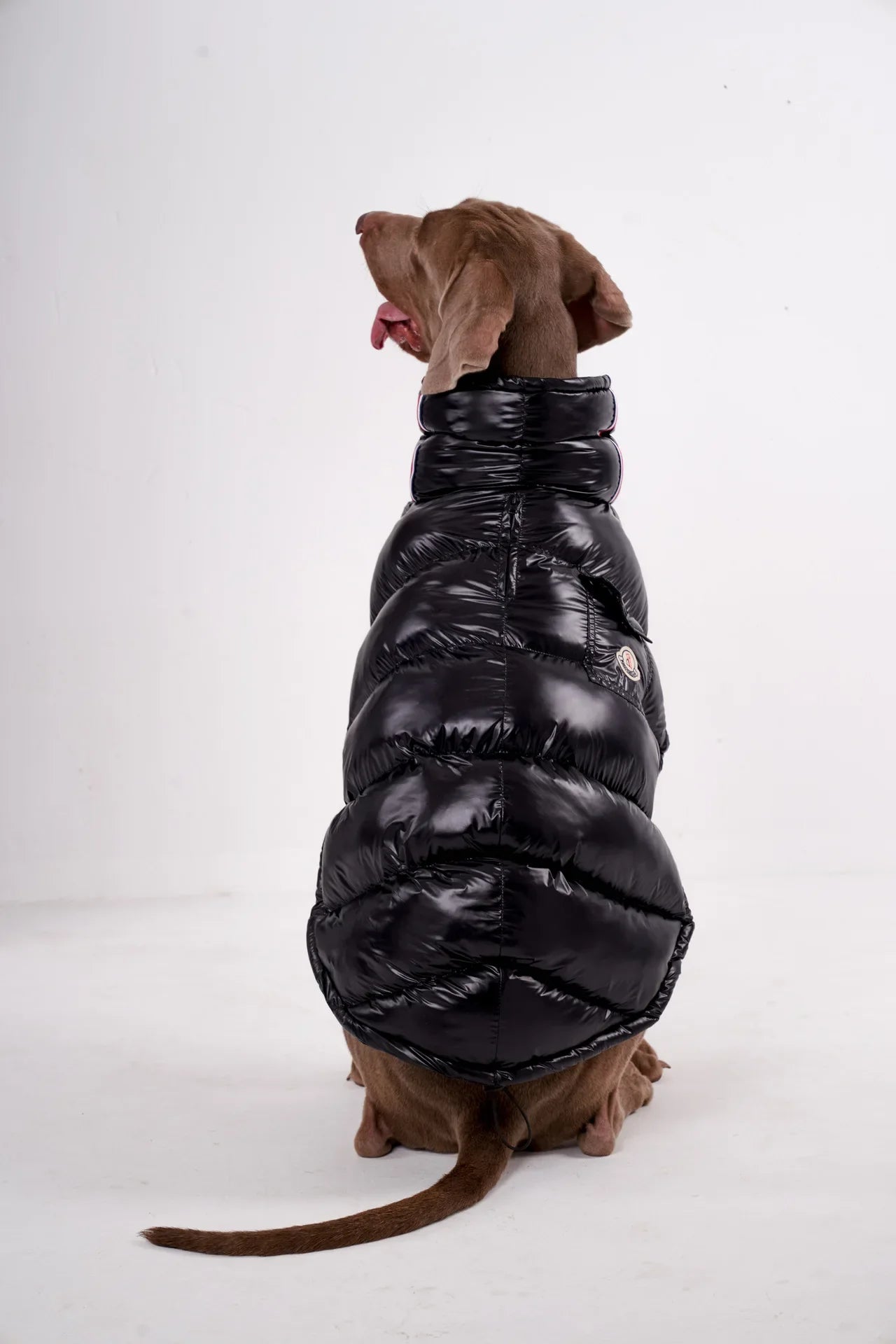 Premium Winter Winddichte Hundejacke
