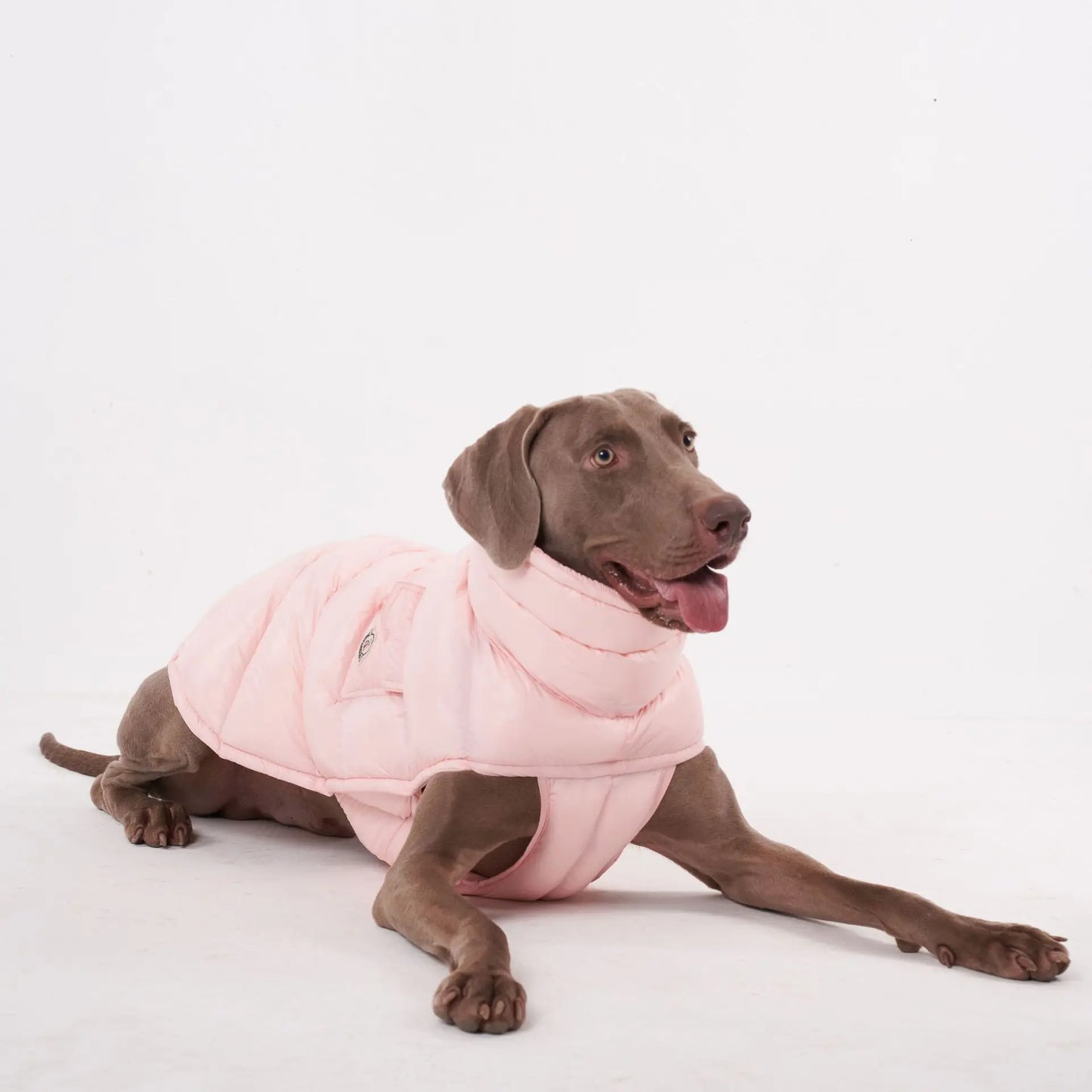 Premium Winter Winddichte Hundejacke