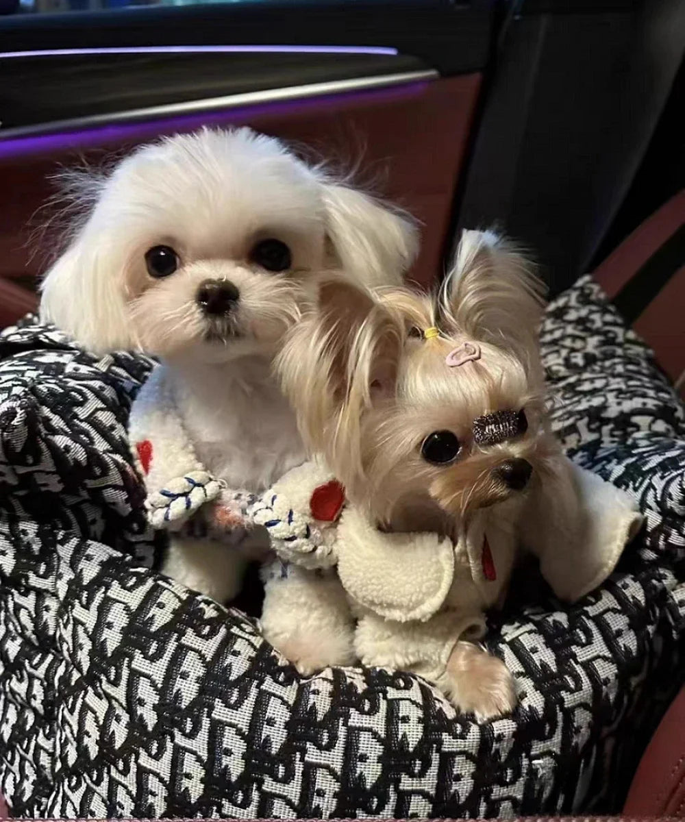 Autobox für Hunde – Herausnehmbare und waschbare Hundebox für Herbst und Winter