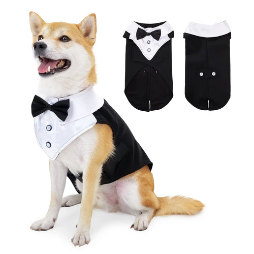 RoyalPaws Eleganter Hunde-Smok – Festlicher Hochzeitsanzug
