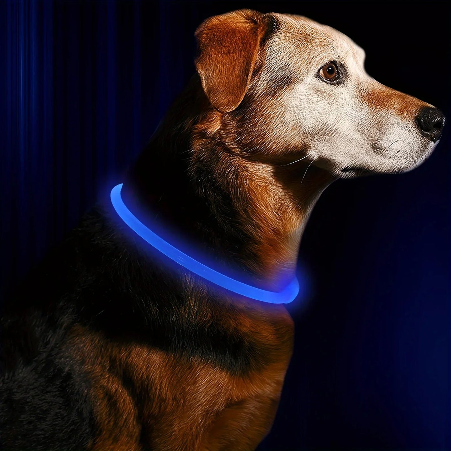 GlowGuard LED-Sicherheitshalsband für Hunde – USB-aufladbar & reflektierend