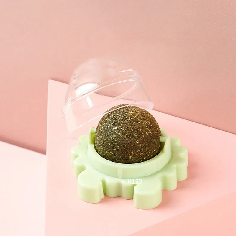 CatVita LickBall – Katzenminze Leck- & Snackball für Zahnpflege und Verdauung