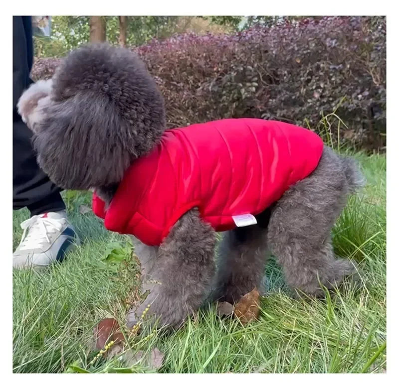 PawLuxe Doppelseitiger warmer Hundemantel