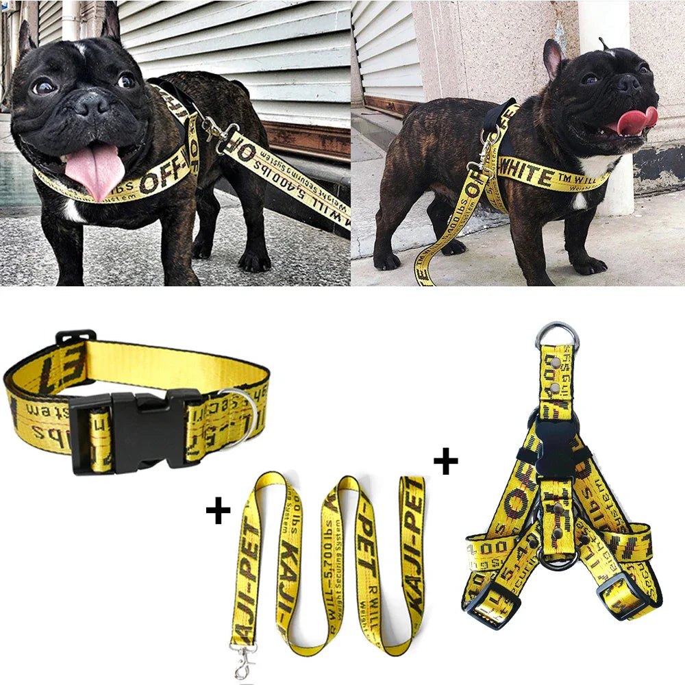 Lux Welpe Goldener Hund Halsband- und Leinen-Set