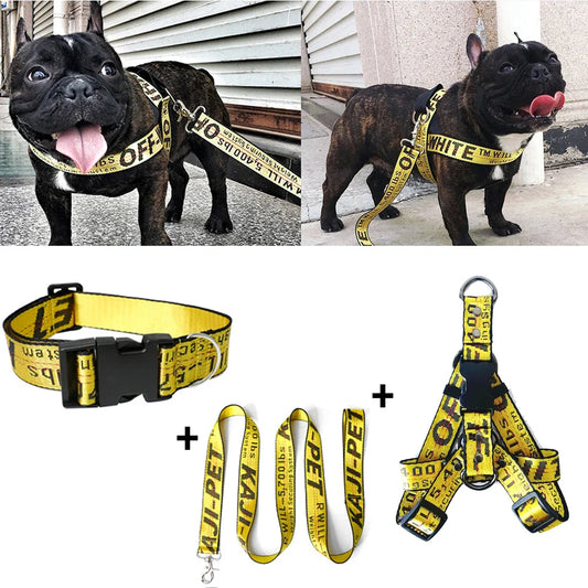 Lux Welpe Goldener Hund Halsband- und Leinen-Set