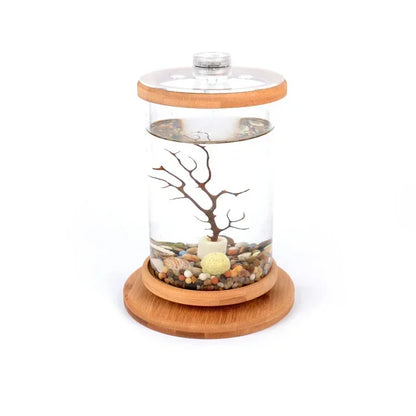 AquaGlow LED zylindrisches Mini-Aquarium