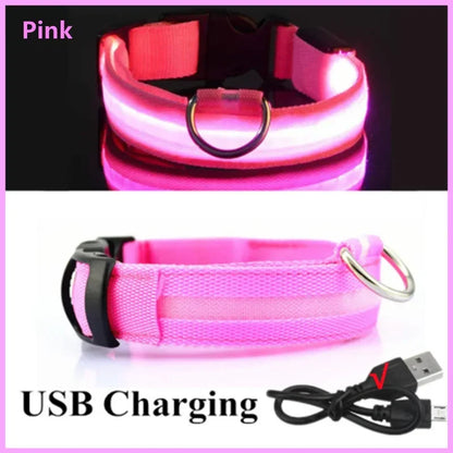LumiGlow LED Leuchthalsband für Hunde