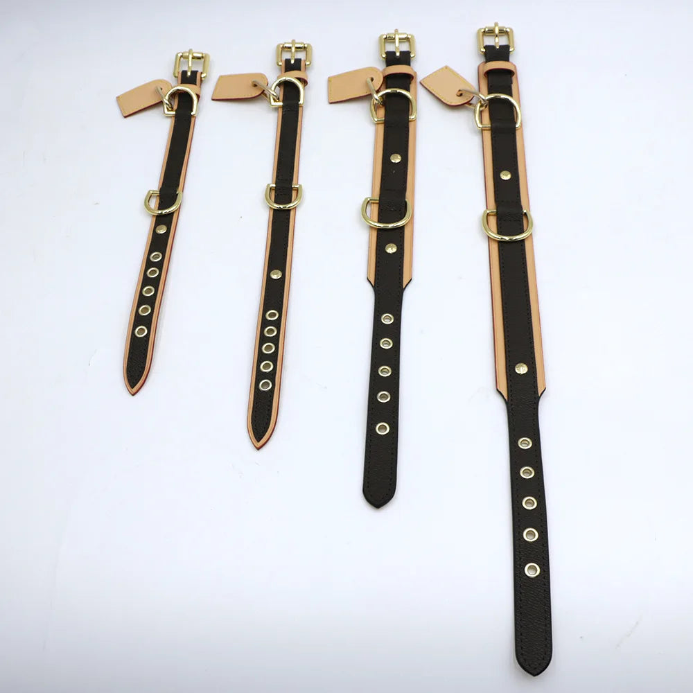 BellaCord Klassische Hundeleine & Halsband