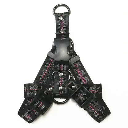 Lux Welpe Goldener Hund Halsband- und Leinen-Set