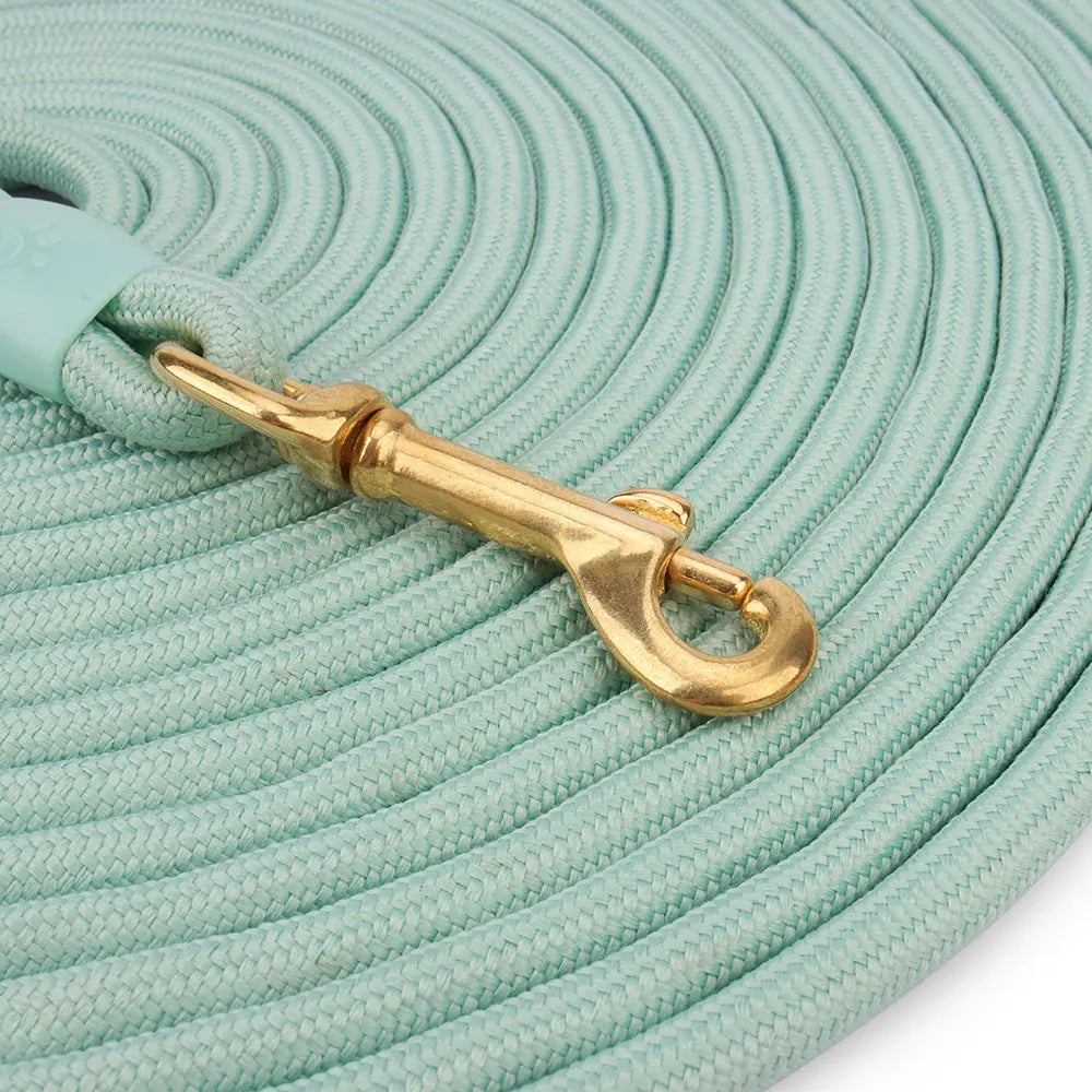 Lange Hundeleine 5 m/10 m, Polyester – Schaumstoffgriff, mehrfarbig