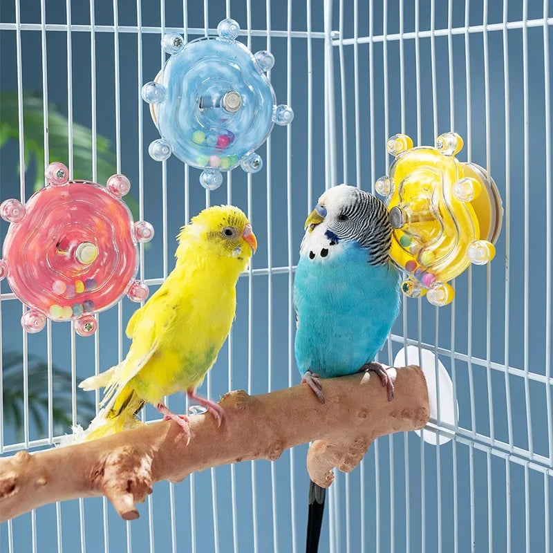 Interaktives Papageienspielzeug mit Musik – Kunststoff, bunt
