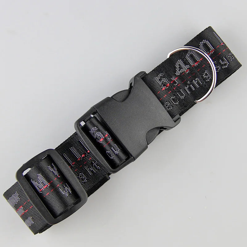 Lux Welpe Goldener Hund Halsband- und Leinen-Set