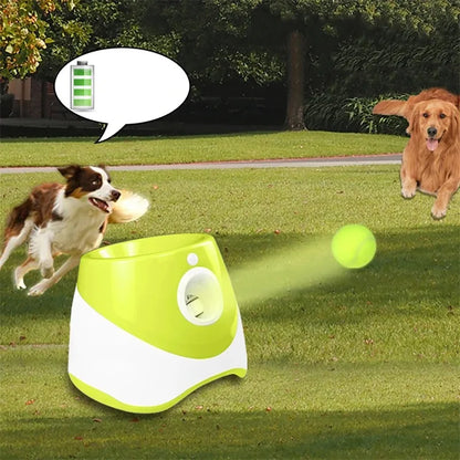 Automatischer Ballwerfer für Hunde – 6 Bälle, USB-aufladbar, 5 cm