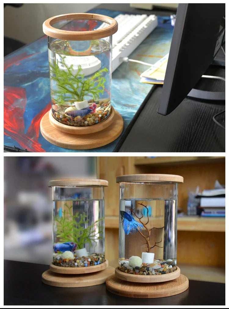 AquaGlow LED zylindrisches Mini-Aquarium
