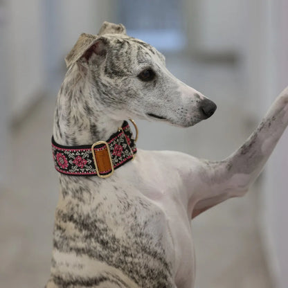 SwiftGent Martingale Hundehalsband