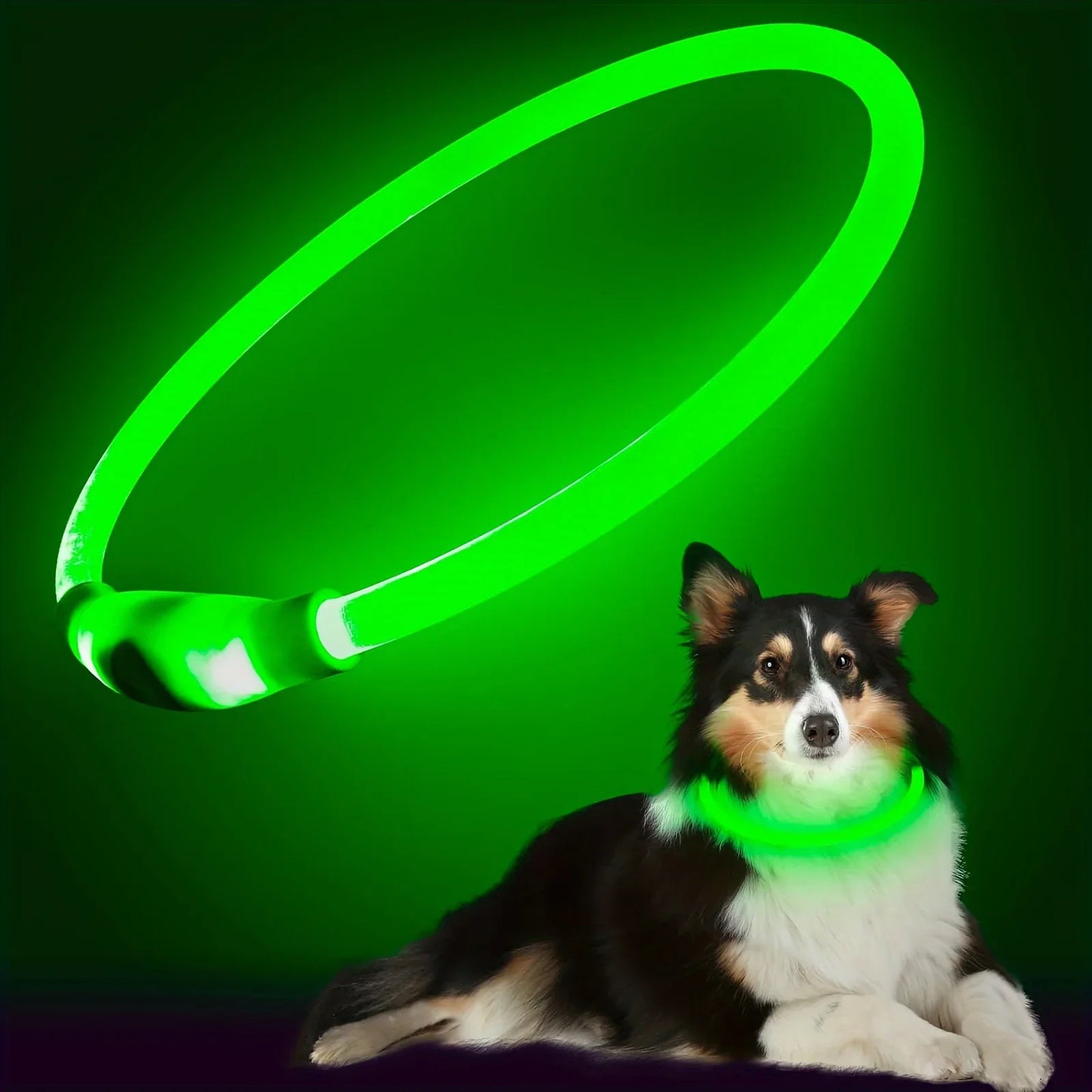 GlowGuard LED-Sicherheitshalsband für Hunde – USB-aufladbar & reflektierend